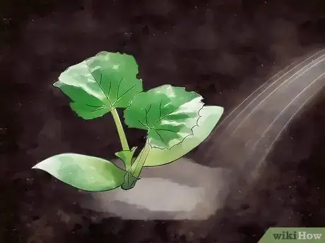 Imagen titulada Plant Vegetables Step 11