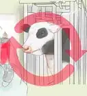 saber si una vaca o novilla está preñada