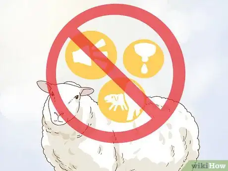 Imagen titulada Care for a Sheep With Pneumonia Step 13