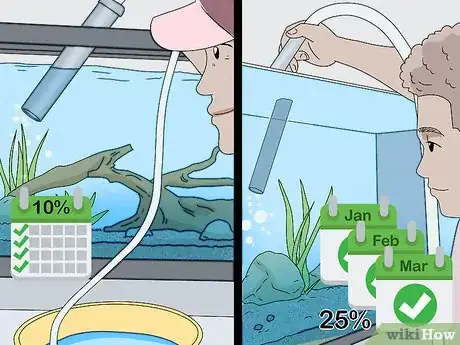 Imagen titulada Lower Ammonia Levels in Your Fish Tank Step 9