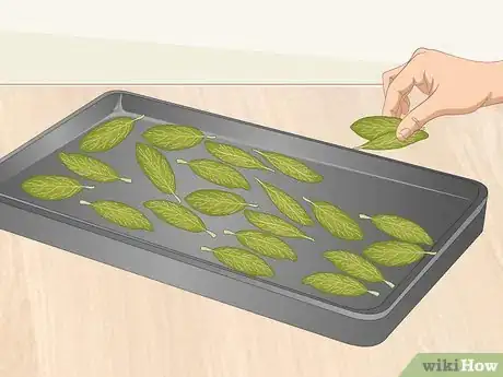 Imagen titulada Dry Bay Leaves Step 14