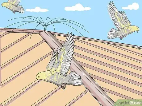 Imagen titulada Keep Birds Off the Roof Step 6