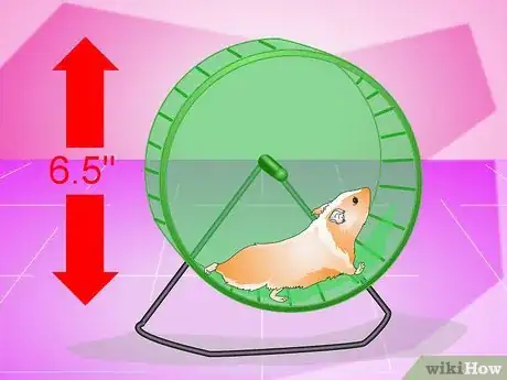 Imagen titulada Make Your Hamster Live Longer Step 13