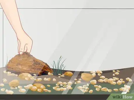 Imagen titulada Create a Terrarium for an American Toad (Bufor Americanus) Step 4