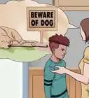 reaccionar ante el ataque de un perro