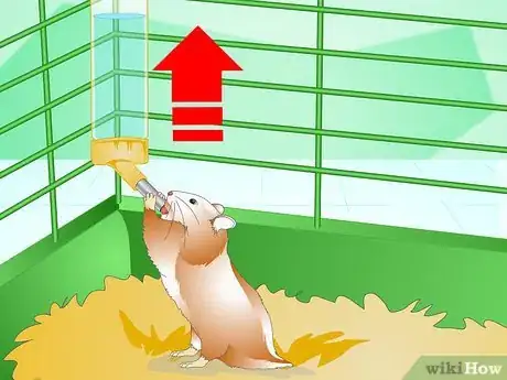 Imagen titulada Know if Your Hamster Is Healthy Step 10