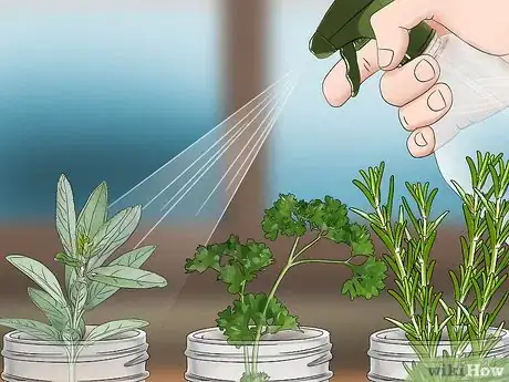 Imagen titulada Build a Mason Jar Herb Garden Step 10