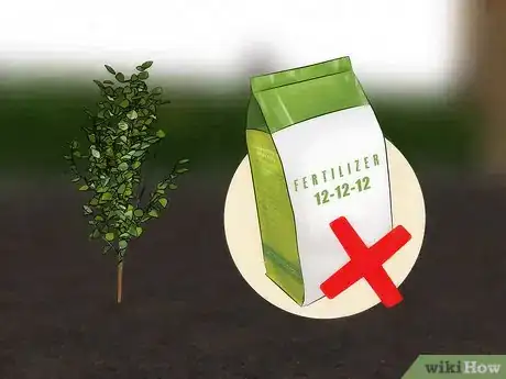 Imagen titulada Fertilize Fruit Trees Step 9