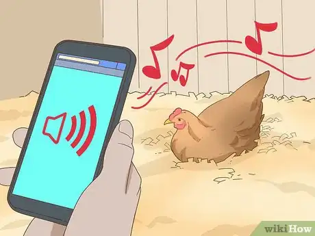 Imagen titulada Keep a Pet Chicken Step 12