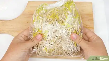 Imagen titulada Cook Bean Sprouts Step 1