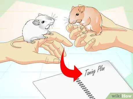 Imagen titulada Tame Your Gerbils Step 5