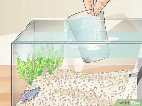 Imagen titulada Clean a Betta Fish Tank Step 4