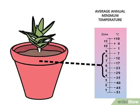 Imagen titulada Care for Succulents Step 11