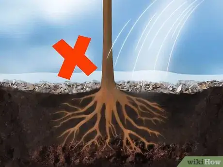 Imagen titulada Plant Fruit Trees Step 16