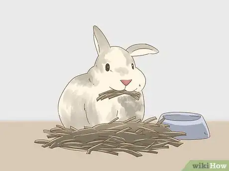 Imagen titulada Know if Your Rabbit is Pregnant Step 10