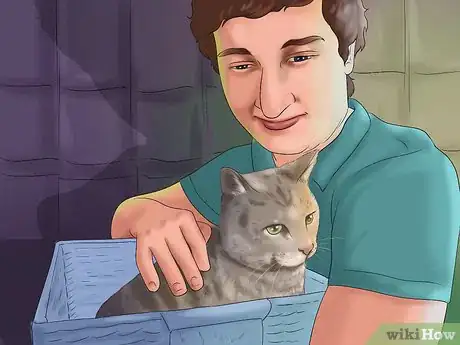Imagen titulada Calm a Cat in Heat Step 8