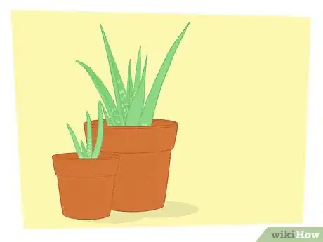 Imagen titulada Propagate Your Plants Step 4