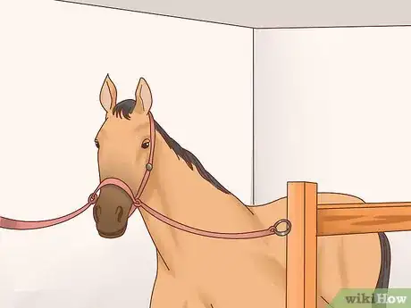 Imagen titulada Take Care of Your Horse Step 1