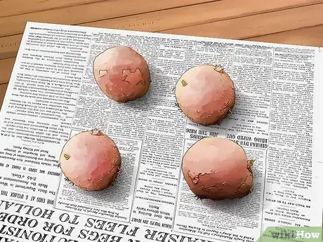 Imagen titulada Grow Red Potatoes Step 1