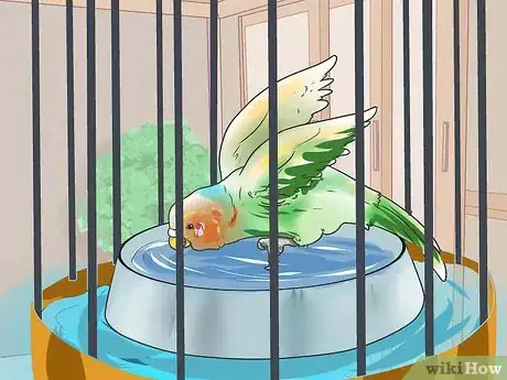 Imagen titulada Give Your Budgie a Bath Step 4