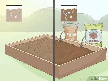 Imagen titulada Grow Grapes from Seeds Step 9