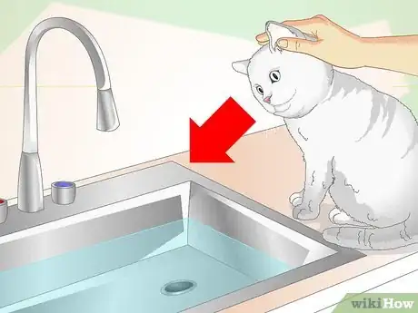 Imagen titulada Inconspicuously Bathe a Cat Without Being Scratched Step 5