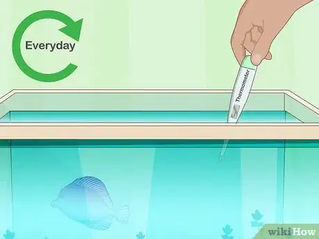 Imagen titulada Clean a Fish Tank Step 19