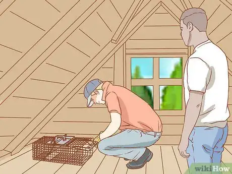 Imagen titulada Get Rid of Squirrels in the Attic Step 11