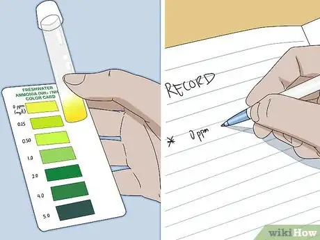 Imagen titulada Lower Ammonia Levels in Your Fish Tank Step 4