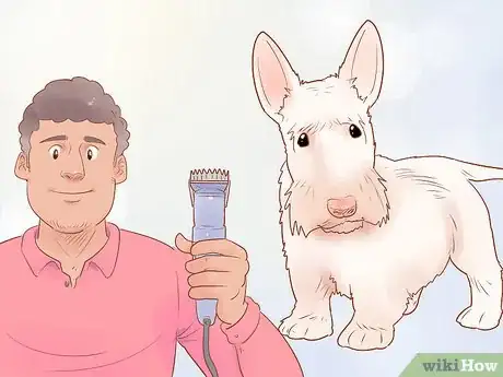 Imagen titulada Groom a Scottish Terrier Step 11