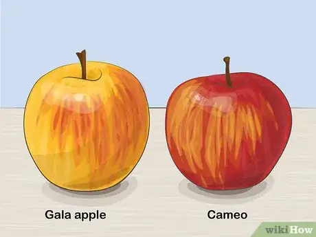 Imagen titulada Identify Apples Step 2