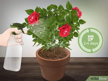 Imagen titulada Grow Miniature Roses Step 17