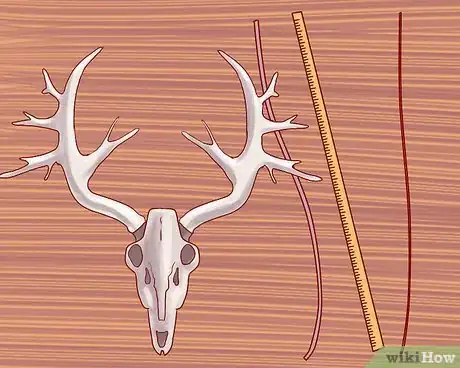 Imagen titulada Score Deer Antlers Step 5