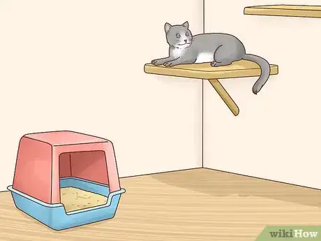 Imagen titulada Keep Cats out of Rooms Step 11