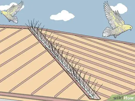 Imagen titulada Keep Birds Off the Roof Step 5