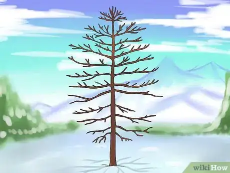 Imagen titulada Prune Conifers Step 14