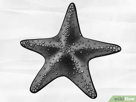 Imagen titulada Draw a Starfish Step 5