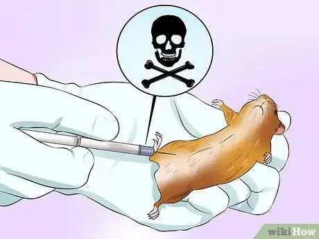 Imagen titulada Euthanize a Sick Hamster Step 9