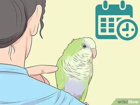 Imagen titulada Spot Signs of Illness in Quaker Parrots Step 5