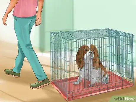 Imagen titulada Crate Train Your Dog or Puppy Step 22