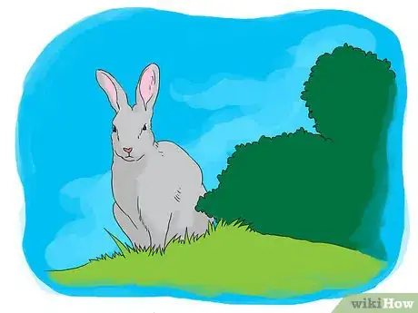 Imagen titulada Hunt Rabbits With an Air Rifle Step 2