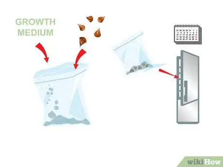 Imagen titulada Start a Bonsai Tree Step 13