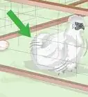 cuidar de las gallinas sedosas del Japón