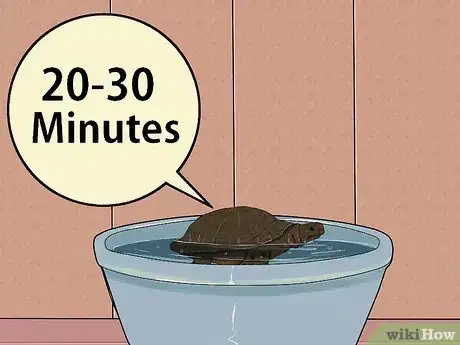 Imagen titulada Care for a Hibernating Turtle Step 23