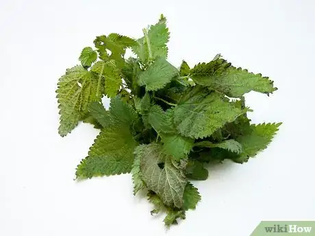 Imagen titulada Make Nettle Tea Step 5