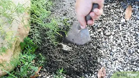 Imagen titulada Make a Drip Irrigator from a Plastic Bottle Step 10