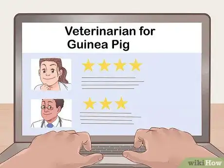 Imagen titulada Treat Ringworm in Guinea Pigs Step 2