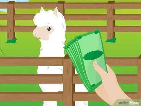 Imagen titulada Buy Alpacas Step 13