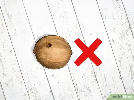 Imagen titulada Identify Hickory Nuts Step 16