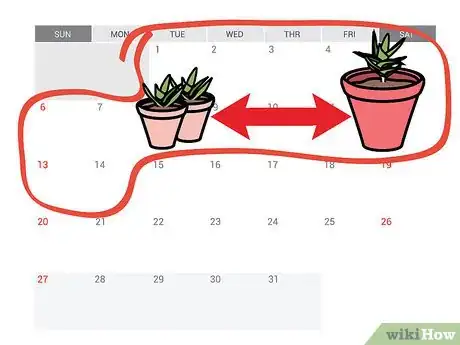 Imagen titulada Care for Succulents Step 10